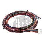 Zestaw wtrysku wody/metanolu dla silników z wymuszonym wtryskiem - AEM wersja 3