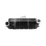 Alpha Competition Intercooler BMW 135i / 1M E82 i 335i E9x N54