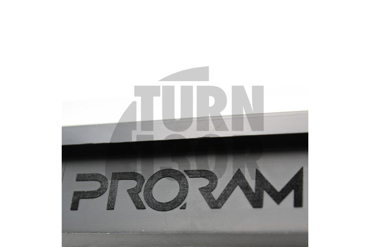 Panelowy filtr powietrza Ramair dla LeBMW 140i, 240i, 340i i 440i