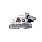 Układ dolotowy z włókna węglowego Gruppe M dla Audi TT RS 8S