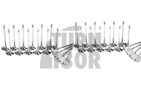Ferrea Competition Plus Engine Valves x16 for A3 8P - Golf 6 GTI - Leon 2 FR  2.0 TSI EA888.1/2