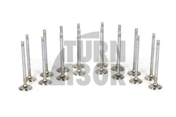 Ferrea Competition Plus Engine Valves x16 for Golf 7 GTI - Golf 7 R - S3 8V - Leon 3 Cupra 2.0 TSI EA888.3