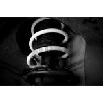 Golf 7 R Leyo Sport Springs