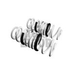 Golf 7 R Leyo Sport Springs