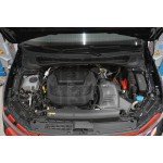 Do88 Air Intake for Polo AW GTI