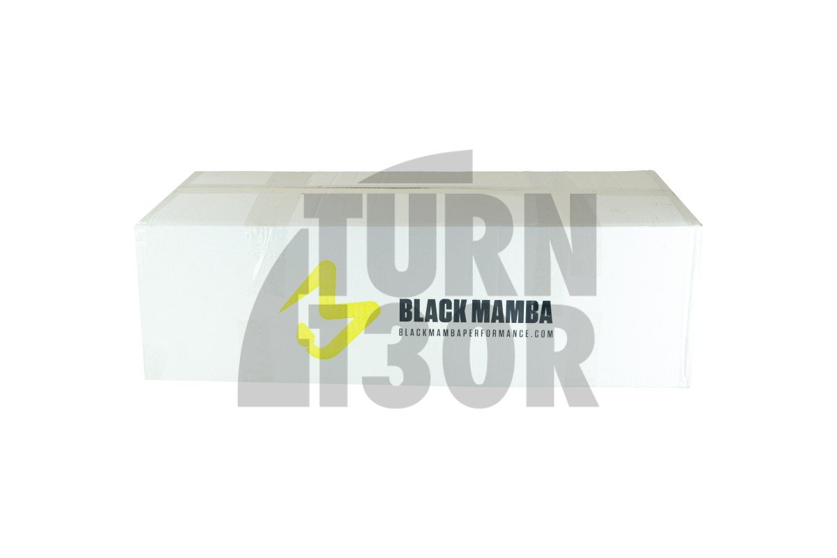 Dolot Black Mamba Golf 6 R / Golf 5 GTI / S3 8P / Leon 2 Cupra / Scirocco 2.0 TFSI EA113 K03