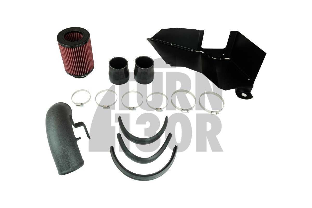 Dolot Black Mamba Golf 6 R / Golf 5 GTI / S3 8P / Leon 2 Cupra / Scirocco 2.0 TFSI EA113 K03