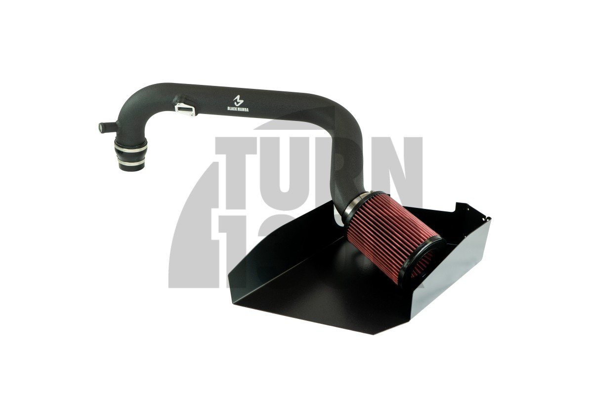 Dolot Black Mamba Golf 6 R / Golf 5 GTI / S3 8P / Leon 2 Cupra / Scirocco 2.0 TFSI EA113 K03