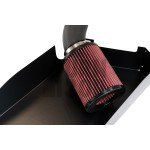 Dolot Black Mamba Golf 6 R / Golf 5 GTI / S3 8P / Leon 2 Cupra / Scirocco 2.0 TFSI EA113 K03